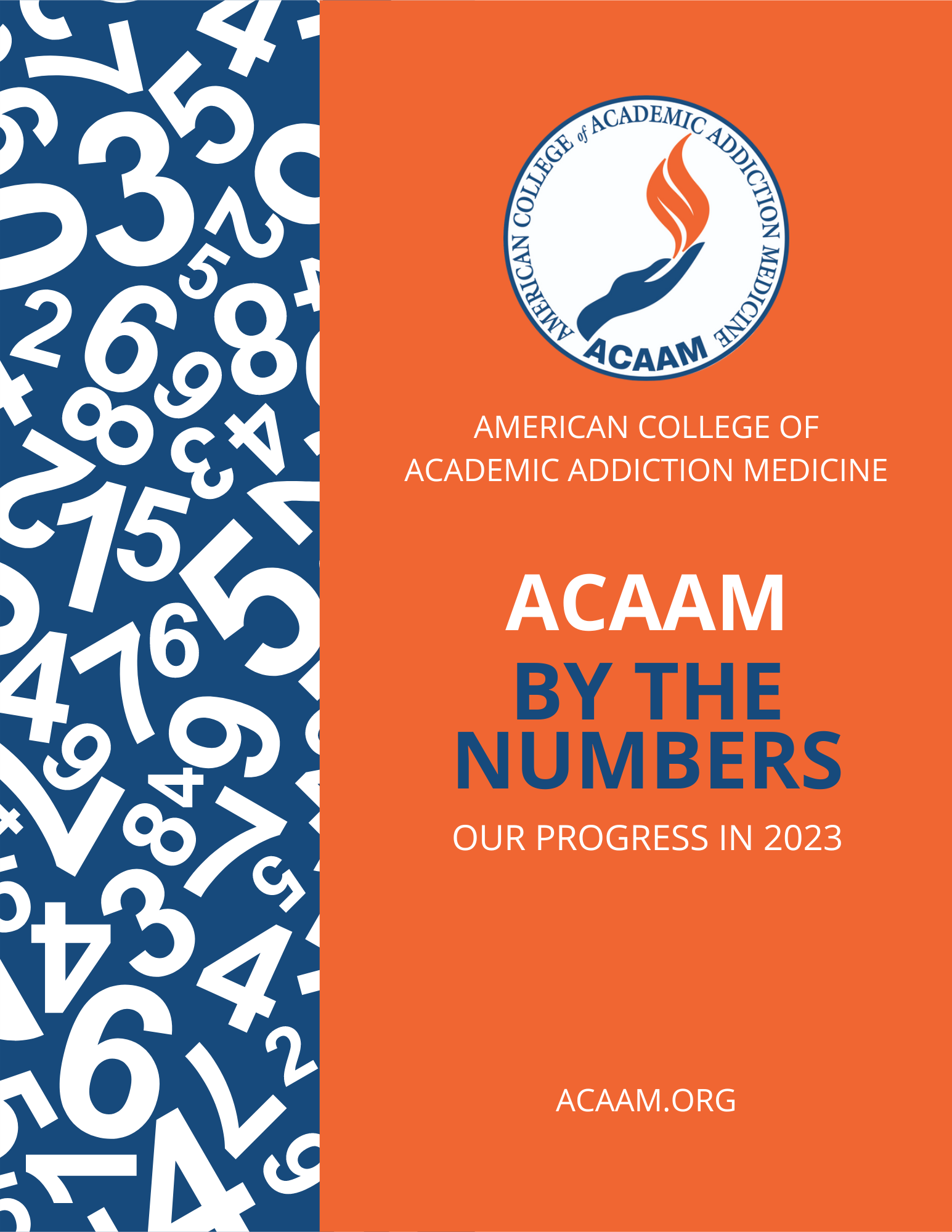 ACAAM Annual Report