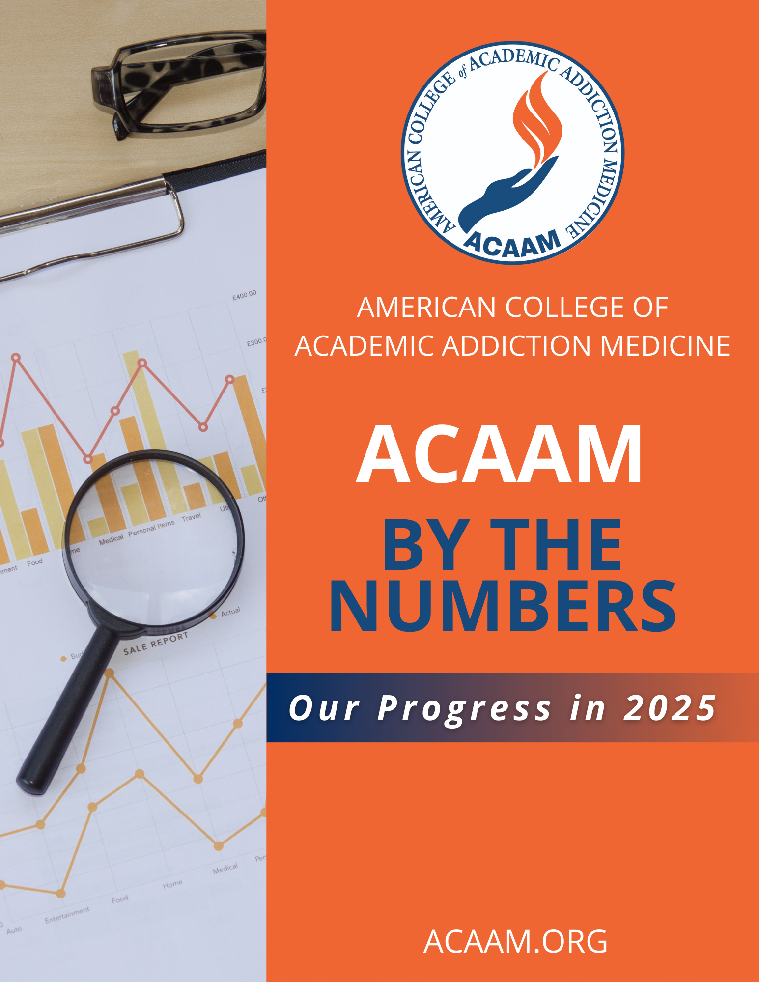 ACAAM 2025 Annual Report